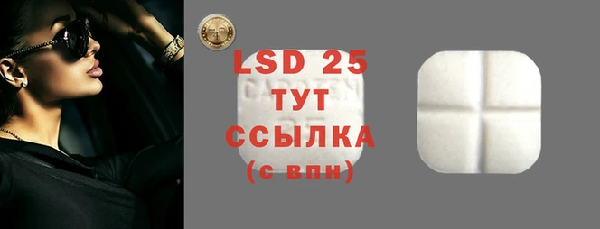тгк Козловка