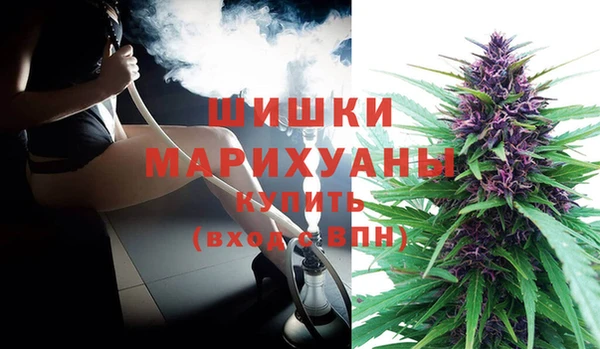 винт Весьегонск