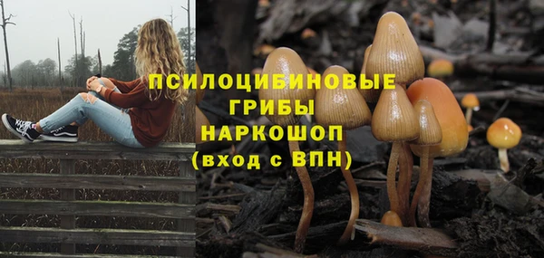 марихуана Коряжма