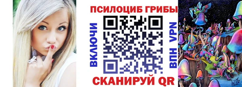 Галлюциногенные грибы Psilocybe  Куртамыш 