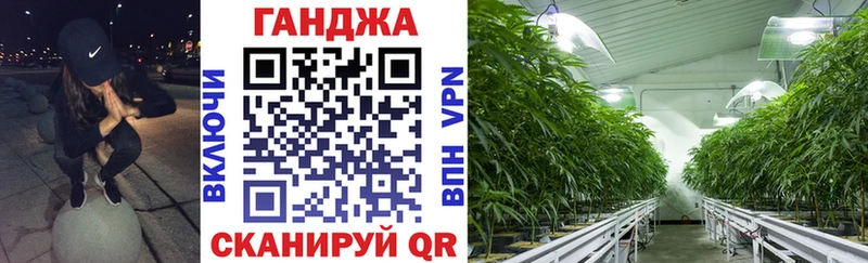 mega ONION  Куртамыш  Конопля ГИДРОПОН 